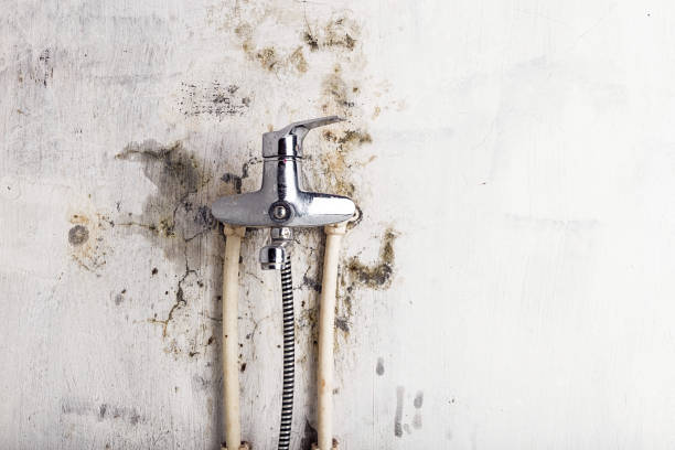 Best Mold Remediation Services  in Muldrow, OK