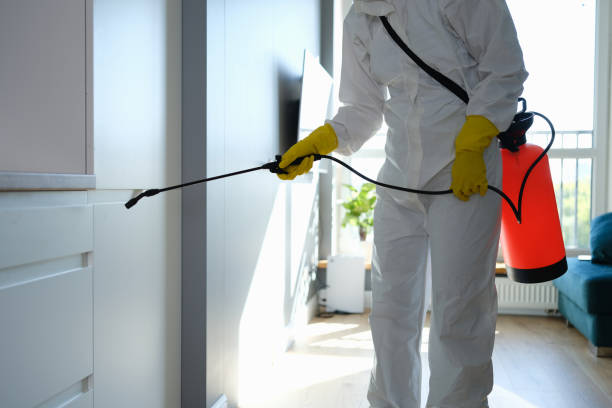Best Mold Remediation  in Muldrow, OK