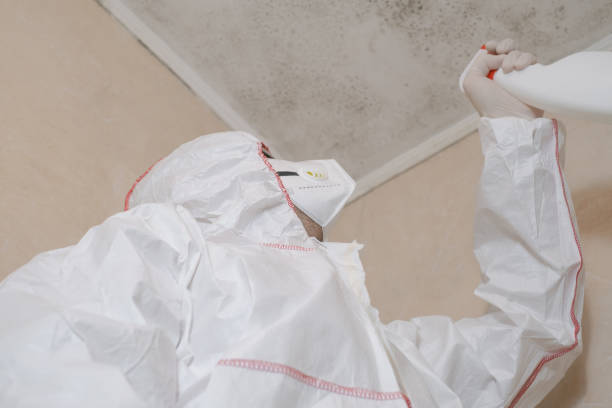 Crawl Space Mold Removal in Muldrow, OK