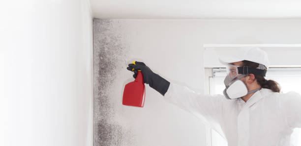Best Mold Testing  in Muldrow, OK