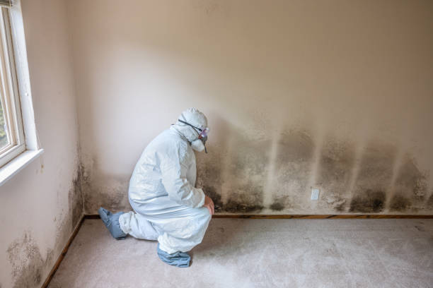 Best Residential Mold Removal  in Muldrow, OK