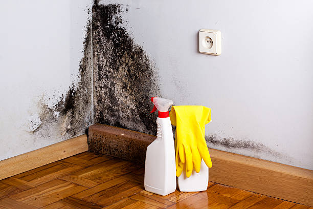 Muldrow, OK Mold Removal Company
