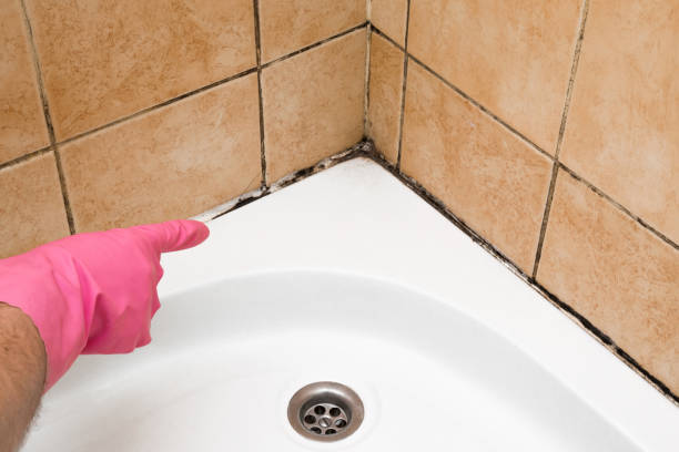 Best Mold Testing  in Muldrow, OK